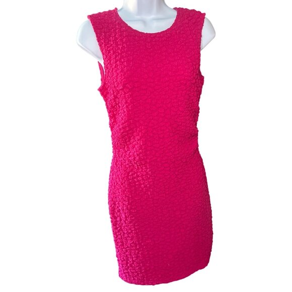 Anthropologie Textured Mini Shift Dress – Pink – Size Small (or Medium) – New Wi - Picture 4 of 7